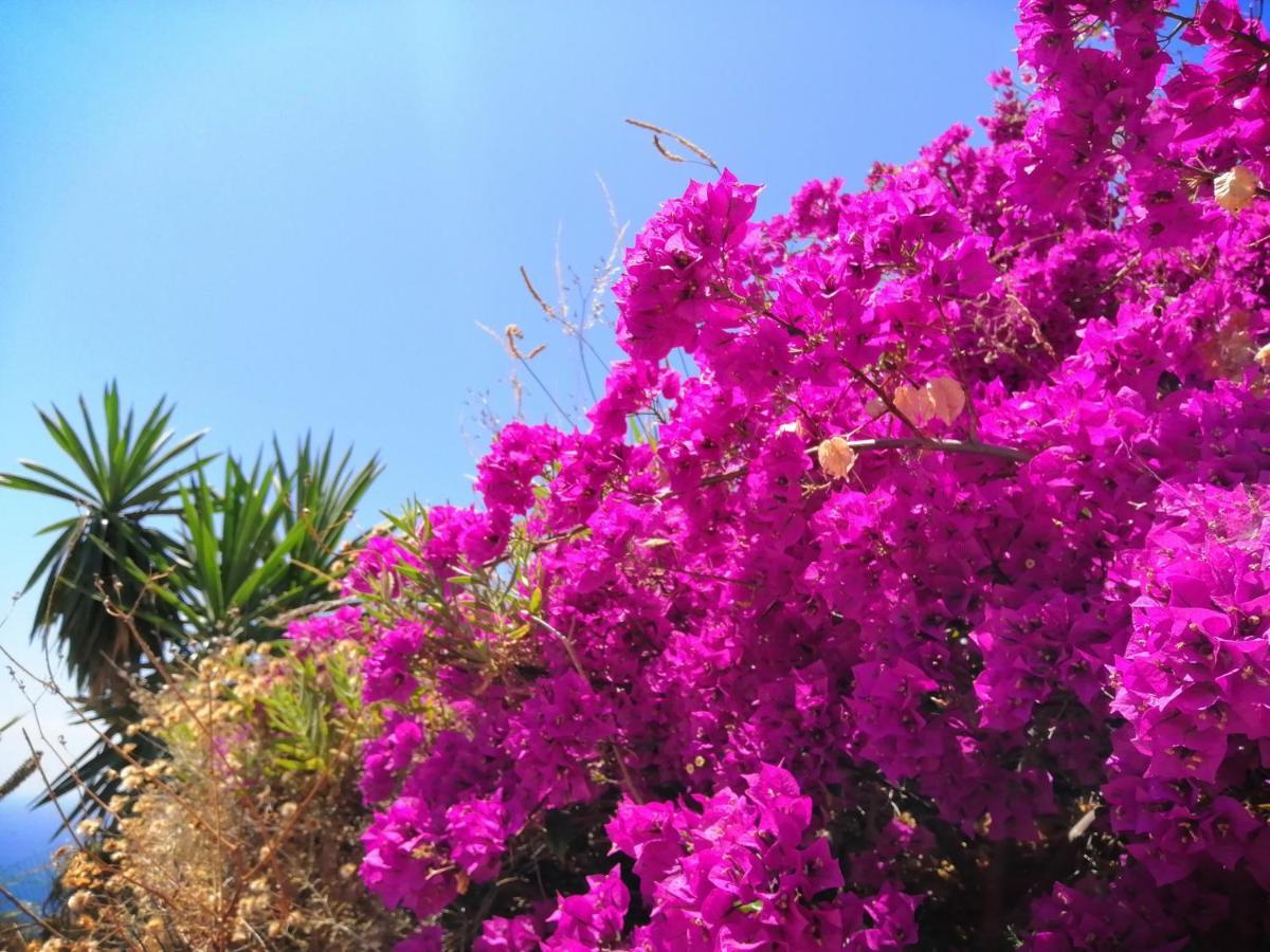 Finca Mariposa Mariposaholidays Nerja Zewnętrze zdjęcie
