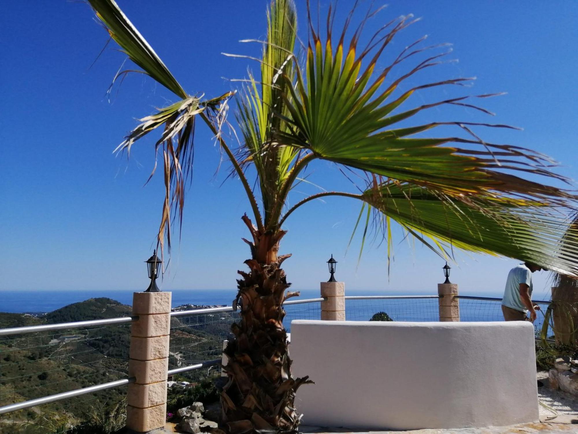 Finca Mariposa Mariposaholidays Nerja Zewnętrze zdjęcie
