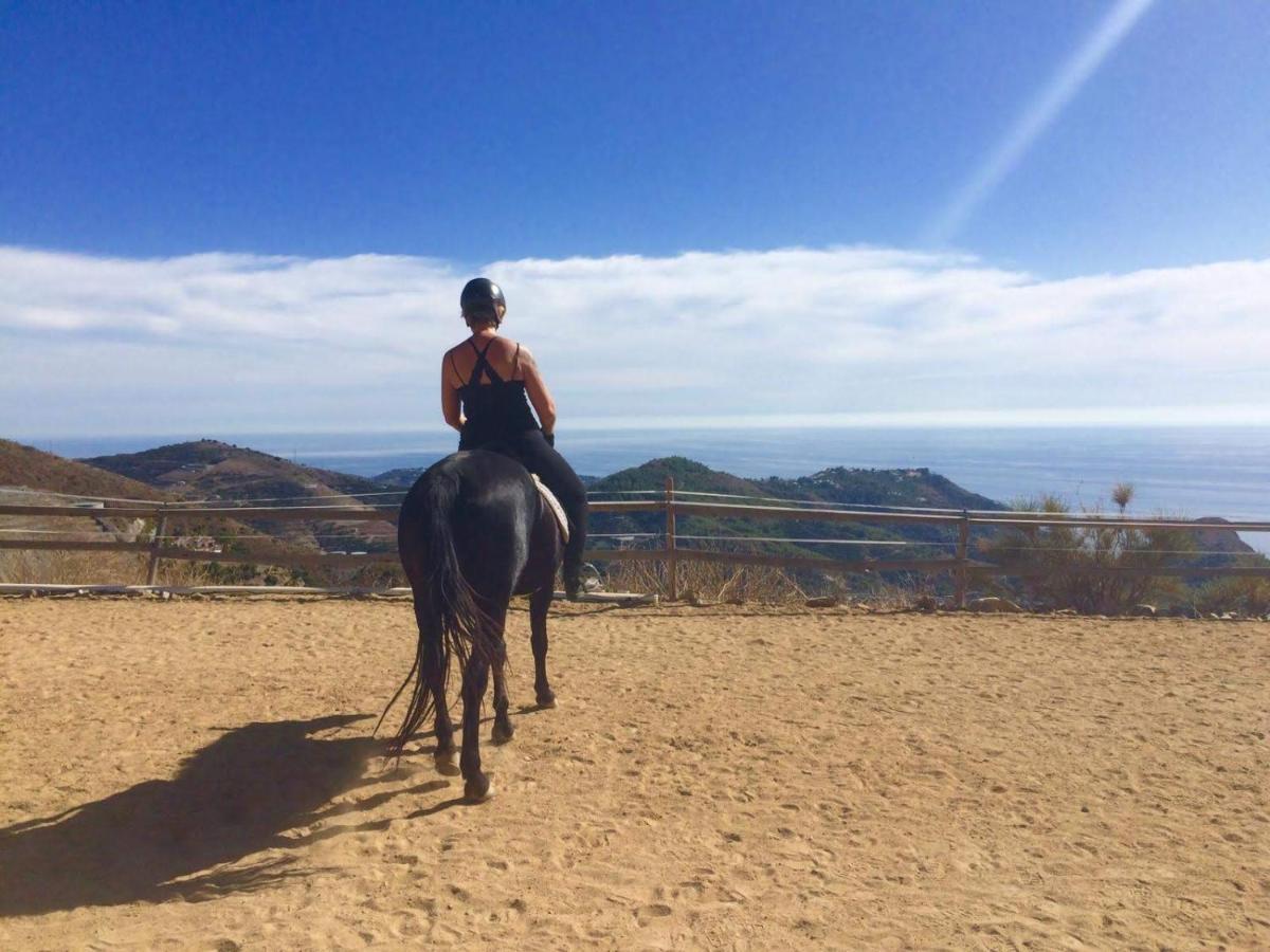 Finca Mariposa Mariposaholidays Nerja Zewnętrze zdjęcie