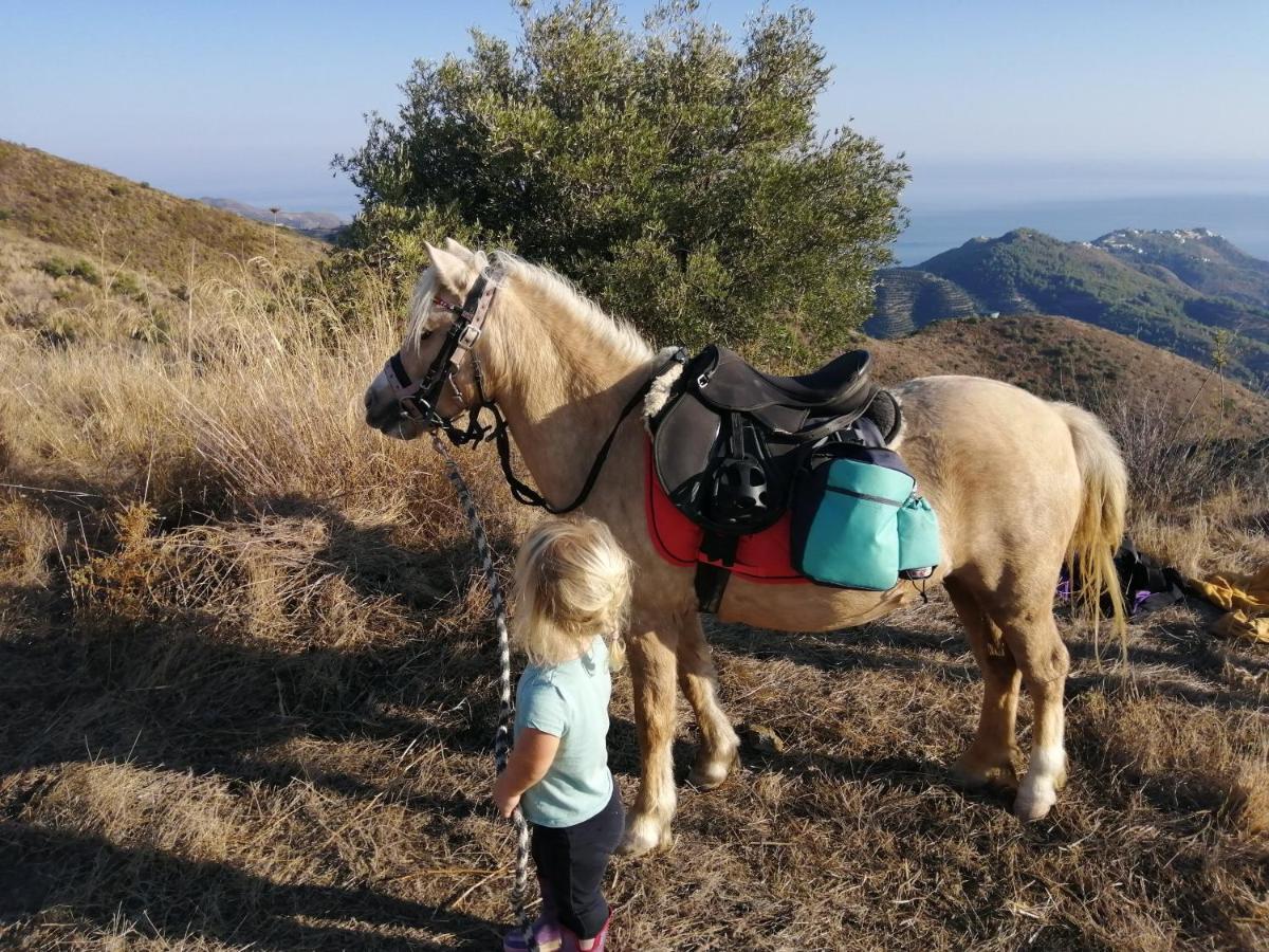 Finca Mariposa Mariposaholidays Nerja Zewnętrze zdjęcie